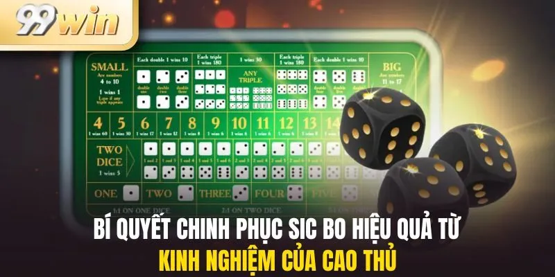 Bí quyết chinh phục Sic bo hiệu quả từ kinh nghiệm của cao thủ