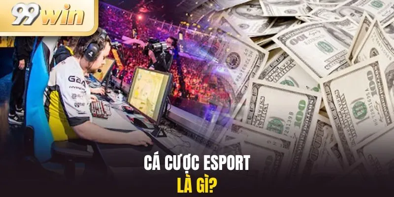 Cá cược Esport là gì?